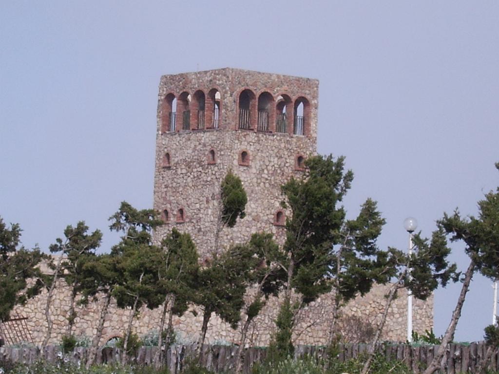 ORAN SANTA CRUZ (132).jpg - DIGITAL IMAGE 